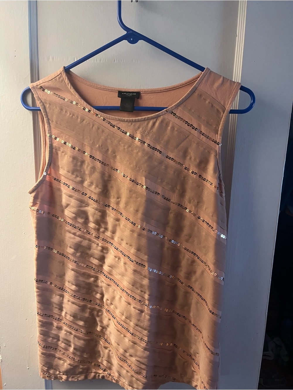 Ann Taylor Blush Sequin Diagonal Stripe Sleeveless Top
